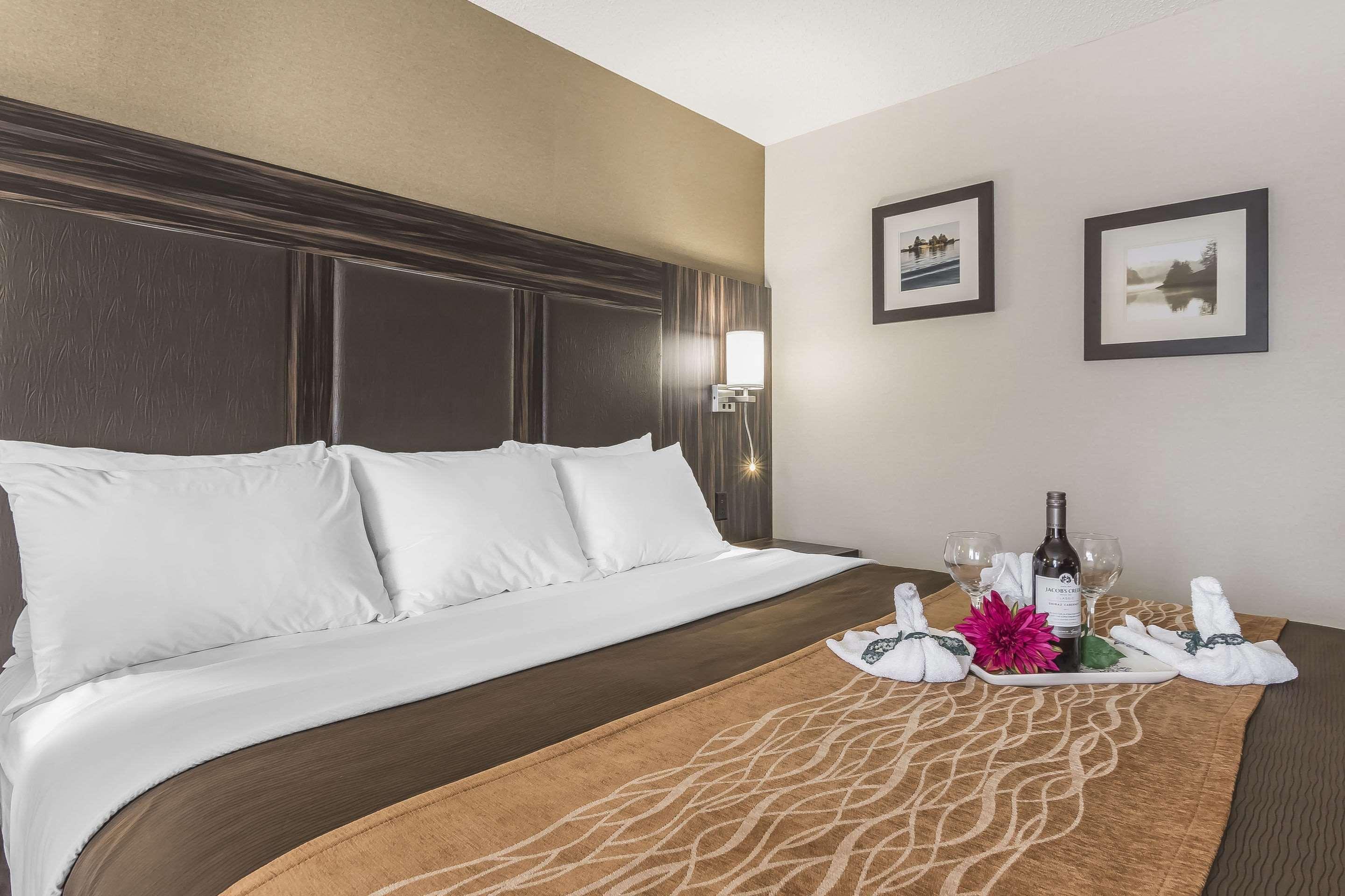 Comfort Inn Trenton Bagian luar foto